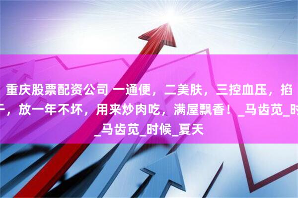 重庆股票配资公司 一通便，二美肤，三控血压，掐10斤晒干，放一年不坏，用来炒肉吃，满屋飘香！_马齿苋_时候_夏天